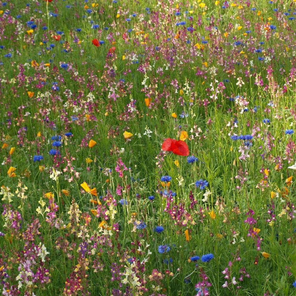 Geschenkset Blühende Zusammenarbeit - individualisierbar
