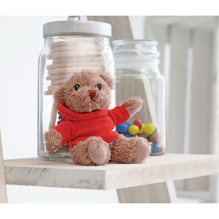 Plüsch Teddy im Hoody