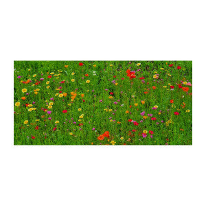 Blumenwiese Bee Happy