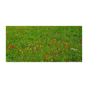 Blumenwiese Bee Happy