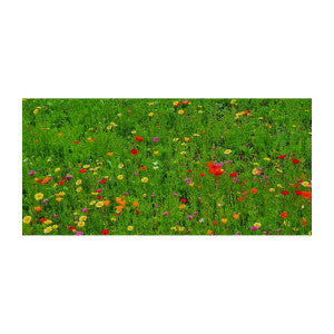 Blumenwiese Bee Happy