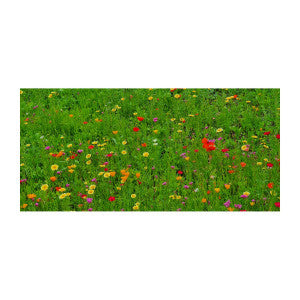 Blumenwiese Bee Happy