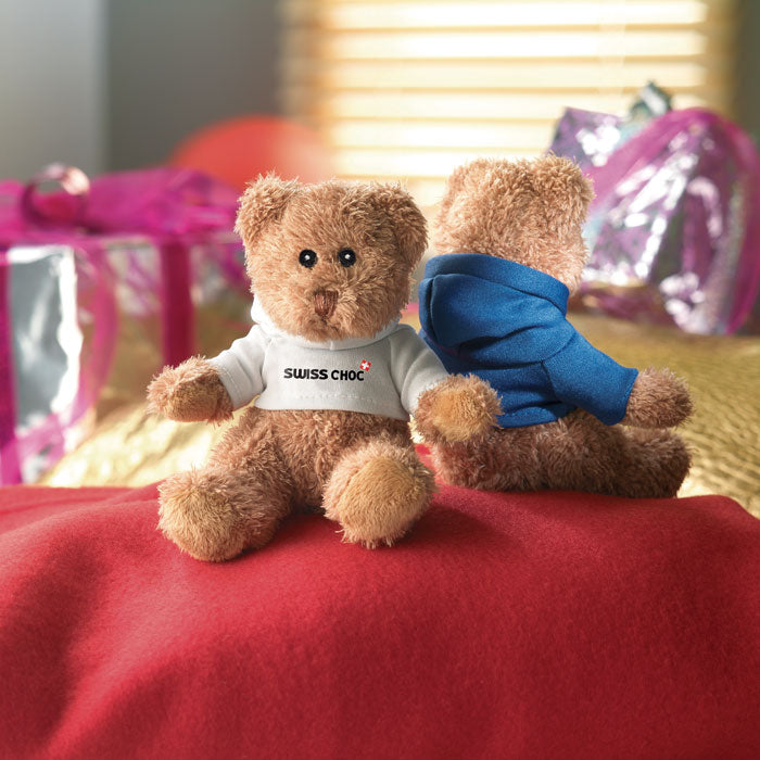 Plüsch Teddy im Hoody