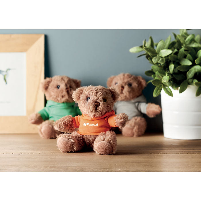 Plüsch Teddy im Hoody